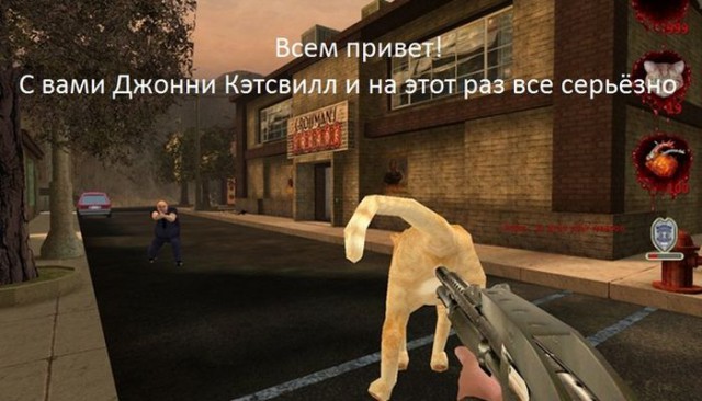 Котик