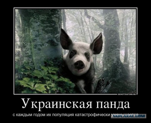 Весь майдан в одной картинке