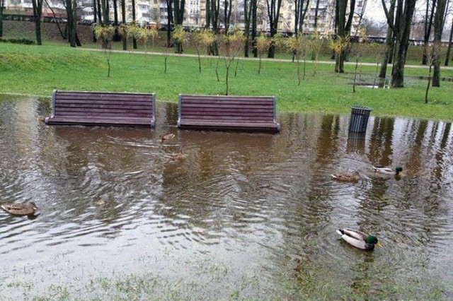 Это Беларусь...