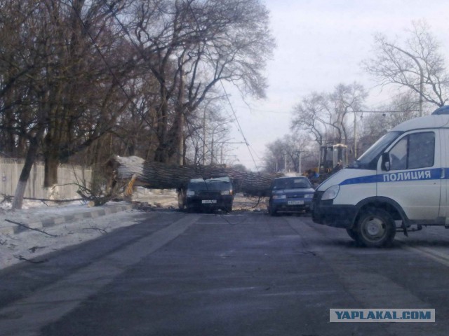 Контейнер раздавил легковой автомобиль