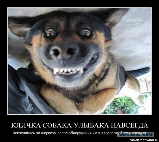 Смешные картинки