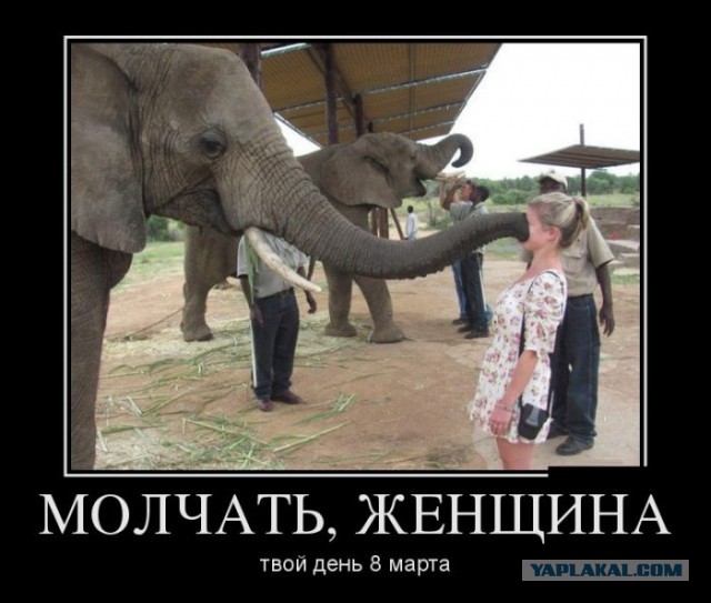 Бляха, твою заногу...