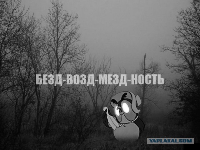 Медведев лично проверил цены
