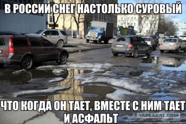 Картинки.