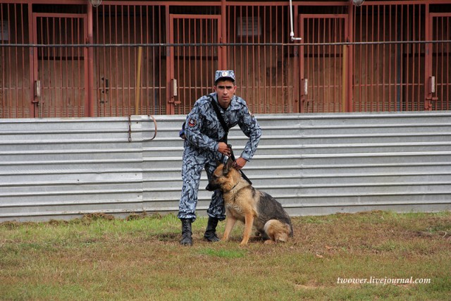 Центр кинологической службы Упр-ния на транспорте