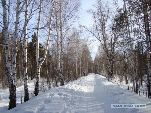 10 самых красивых дорог России