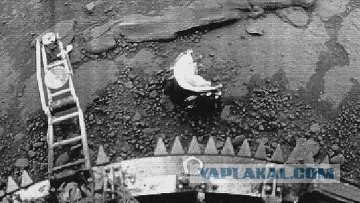 Советские зонды засняли живых существ