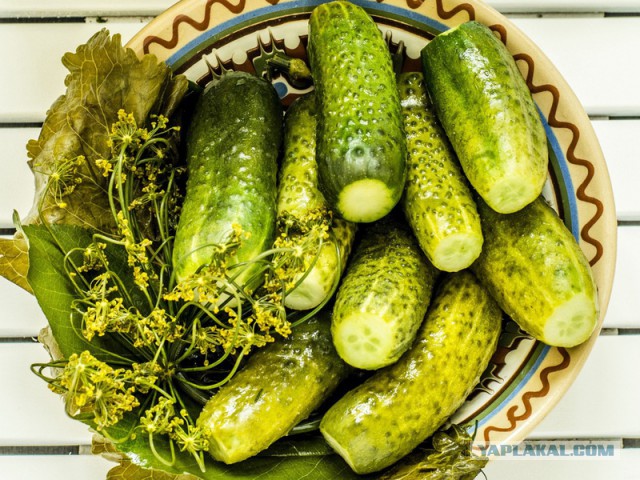 Как француженка поняла, что стала русской