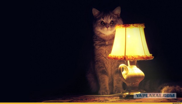 Секс по дружбе