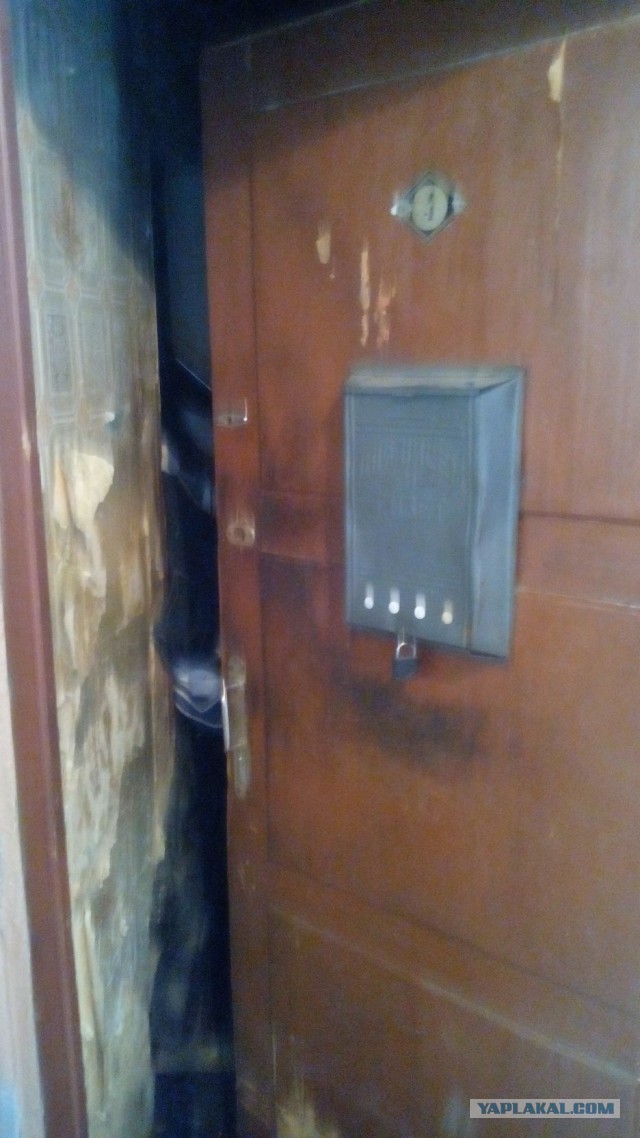 Синдром Плюшкина