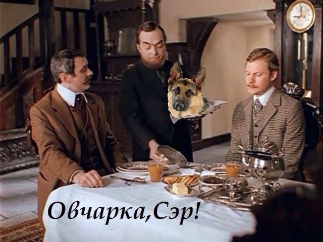 Абсурдный юмор ч.26