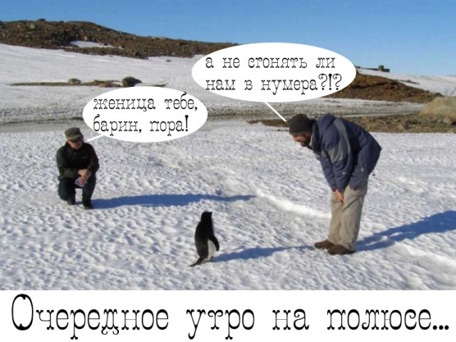 Фотожаба: Полярники окружают!