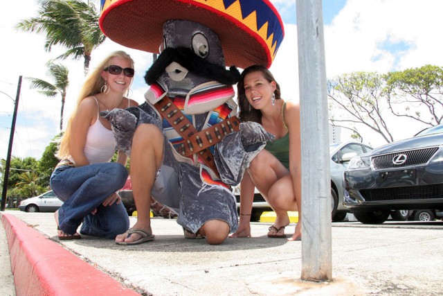 "Жестокое солнце"