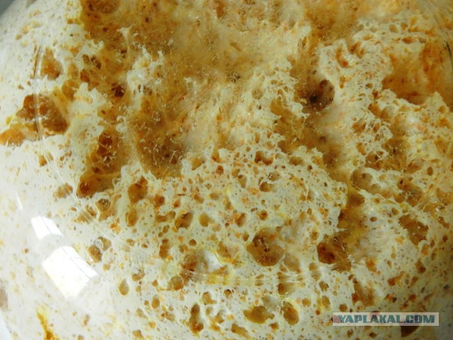 Мировая кулинария. День повара