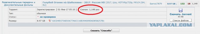 О таком голубом новогоднем огоньке, который «С Новым годом!»