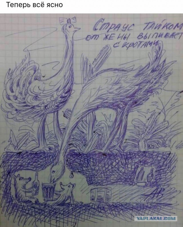 Сбитый пиксель. Часть пятая, местами +16