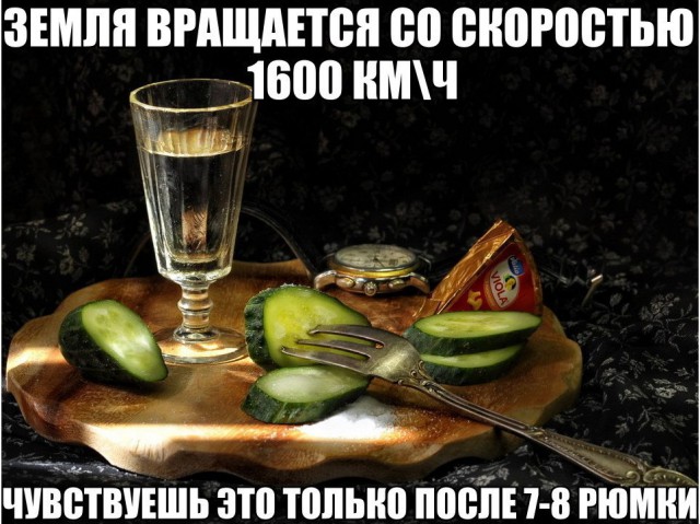 Подборка безудержного веселья