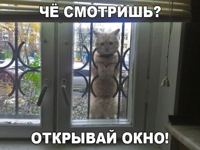 Смешные и не очень картинки из этих ваших интернетов