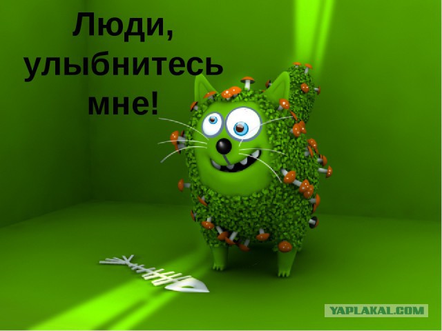 Когда увидел годный пост в минусе