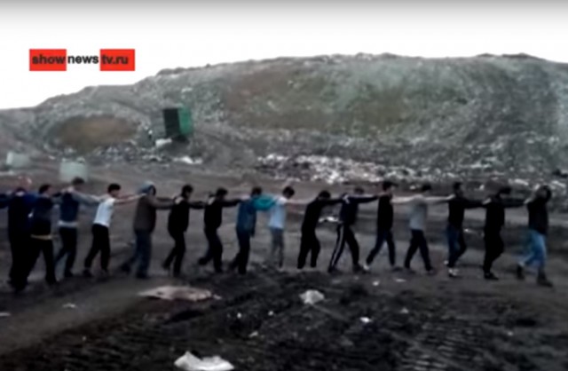 Полиция раскрыла тайну исчезновения тараканов