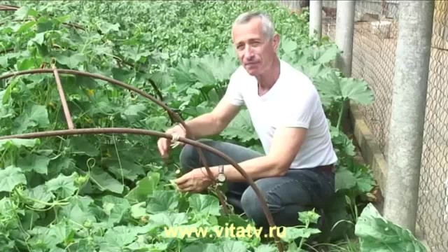 Для вас дача это хобби или источник дохода?