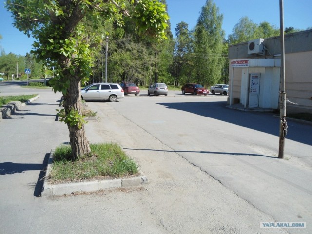 Автосвинство, или почему мы живем среди мразей..
