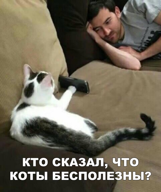 Нестандартный юмор