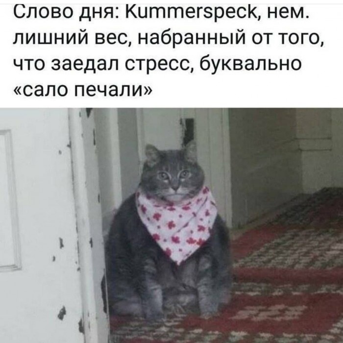 Как выучить немецкий язык