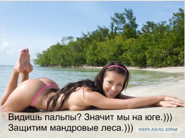 Картинки и мемы для настроения 07