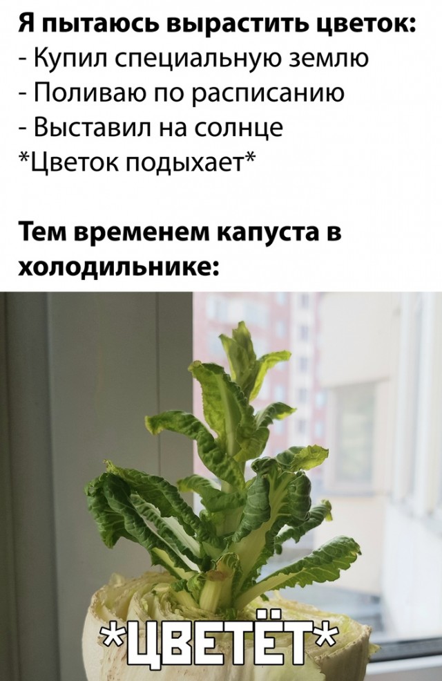 Бывают в жизни огорчения 06.05.20