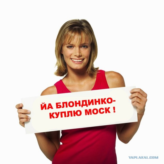 Фотожаба: Таблички возвращаются