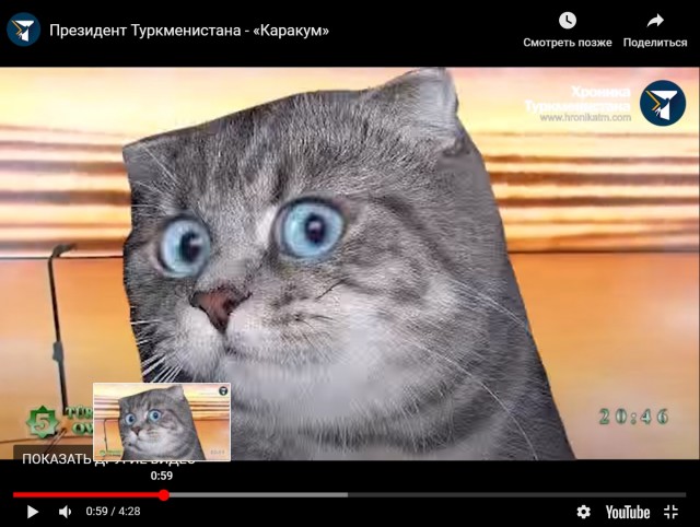 Новое кино с туркменским президентом: Бердымухамедов ловит рыбу и везет ее в детдом