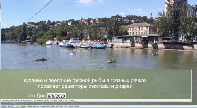 Навальный полностью пришёл в себя