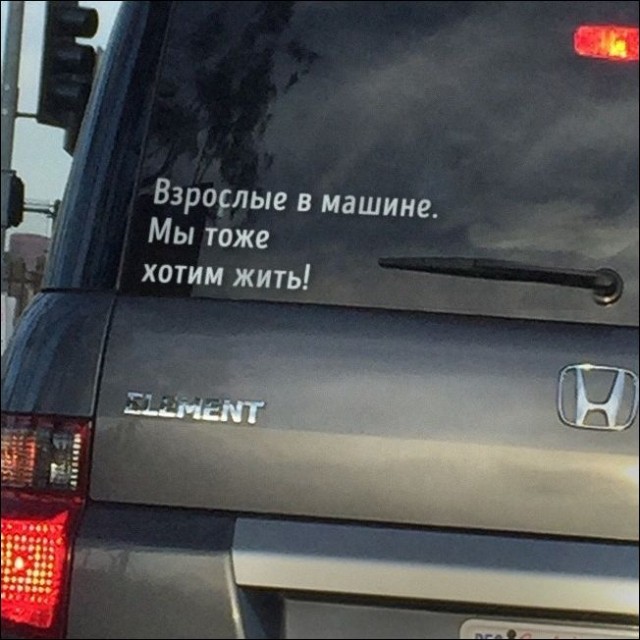 Перлы 26.10.20