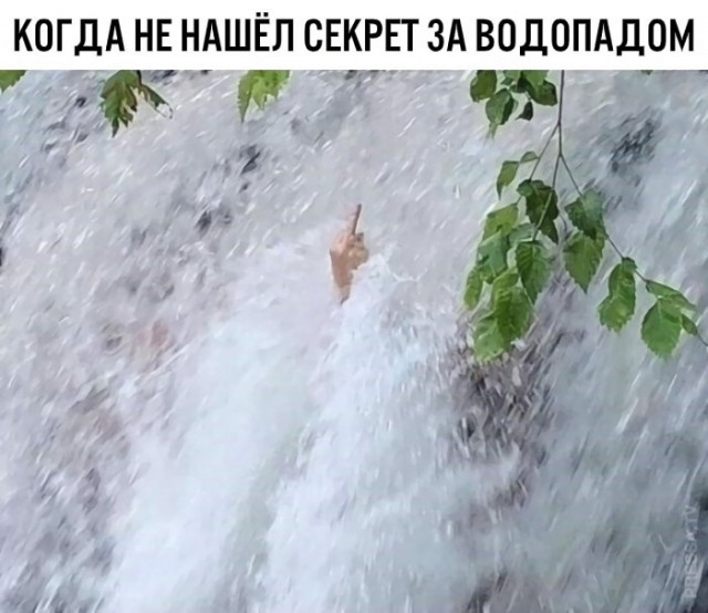 Картинки и мемы для настроения 028