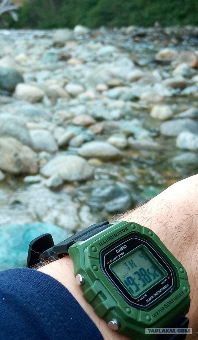 Casio "признание в любви"