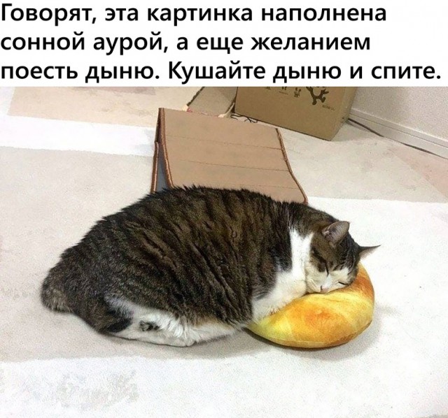 Картинки и мемы для настроения 11.08.2021