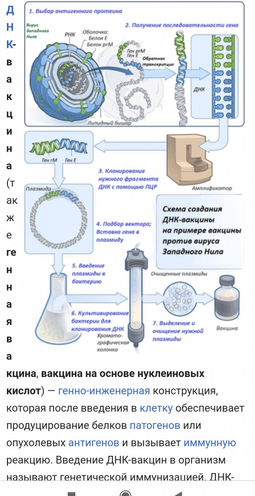 Пандемия. Коронавирус. Россия и мир. Последняя информация. Часть 24