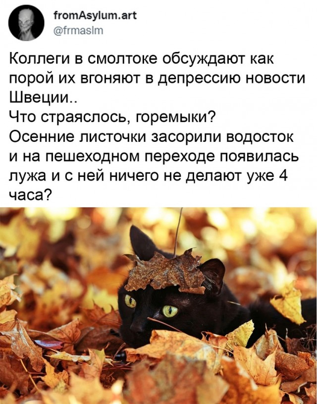 Так себе картинки 30.10.21