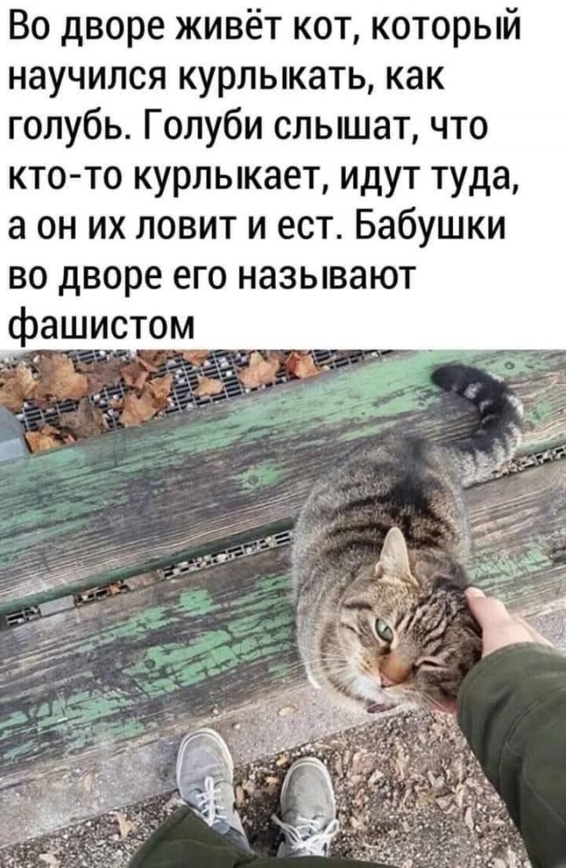 Всяческие картинки 08.11.2021