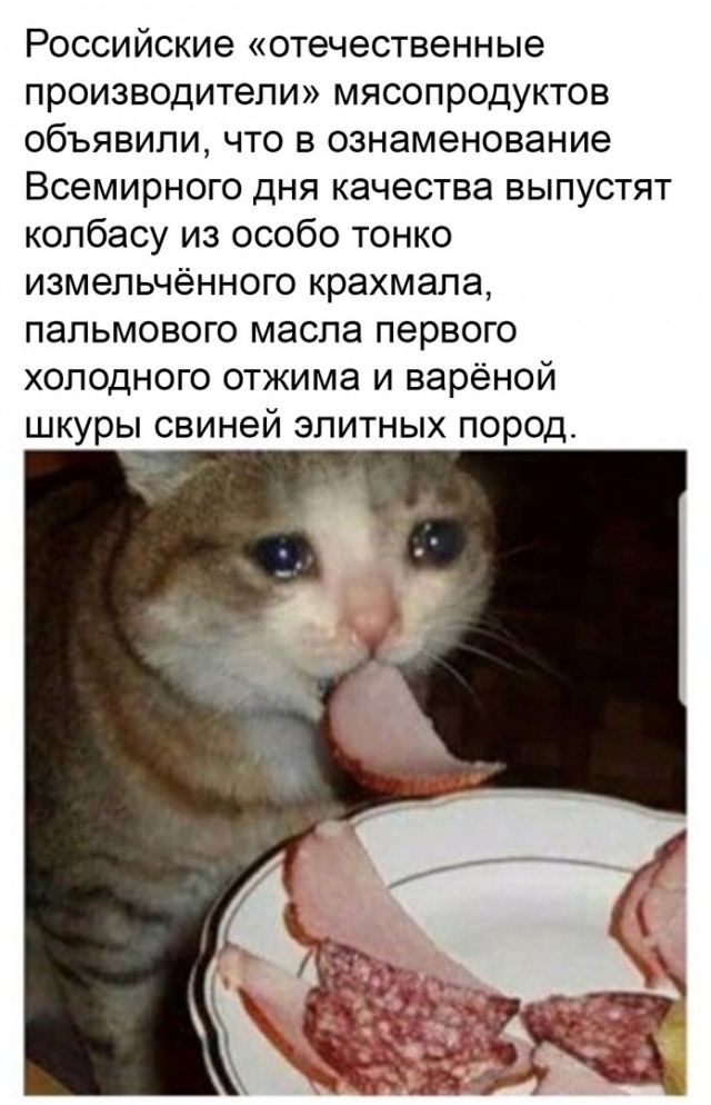 Так себе картинки 09.11.21