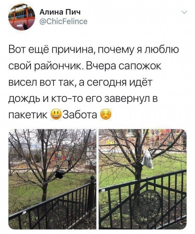 Так себе картинки 21.11.21