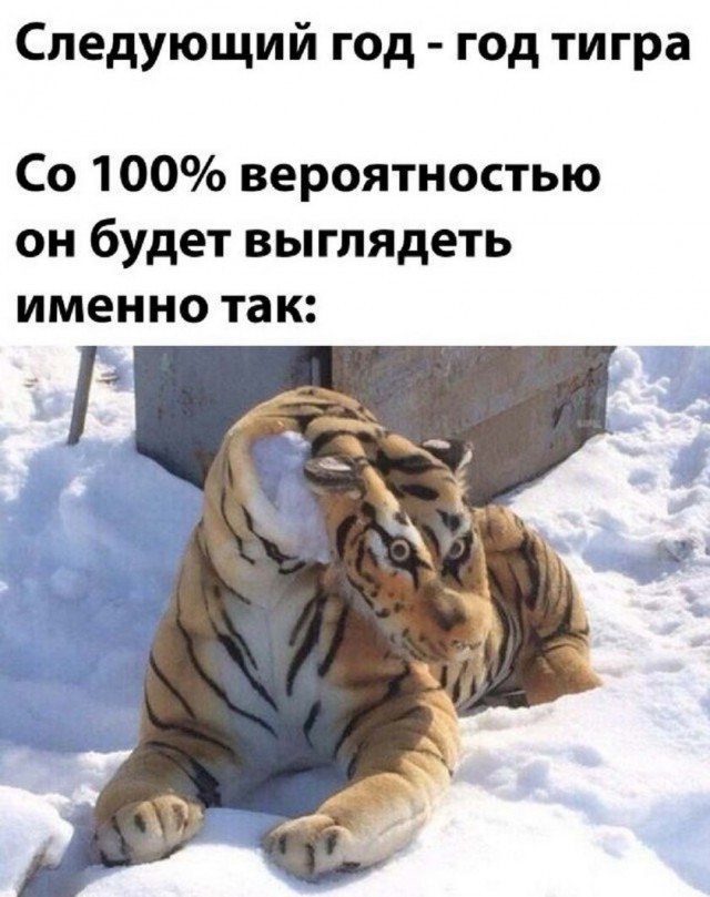 Картинки и мемы всем прекрасных выходных