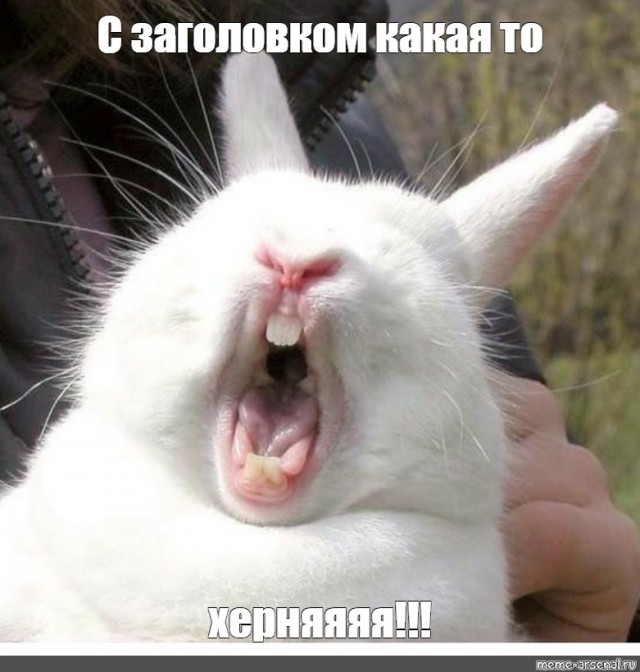 Черное с белым не берите. Продолжение