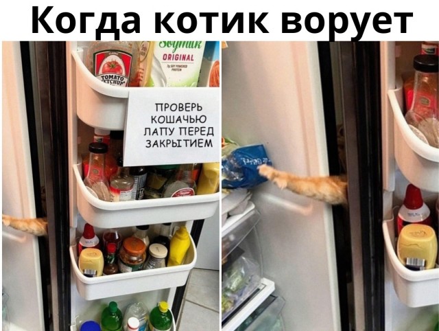 Так себе картинки 10.03.22