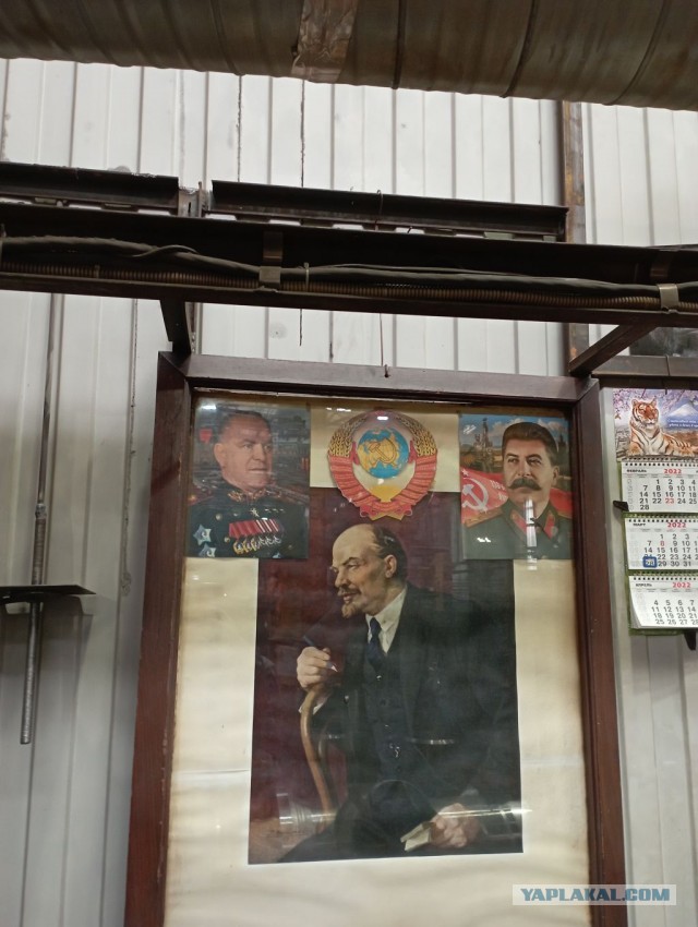 Настенная жизнь обычного завода