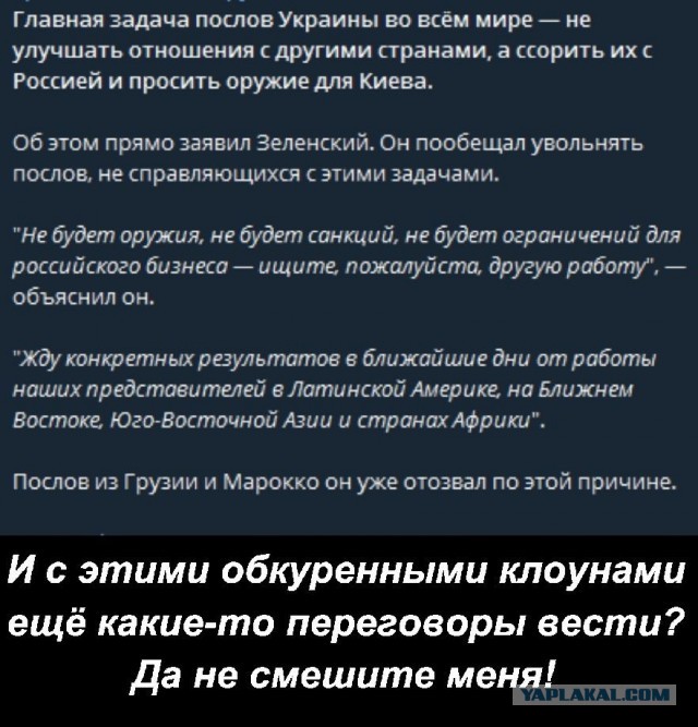 Зеленский получил очередную методичку от пациентов Белого дома!