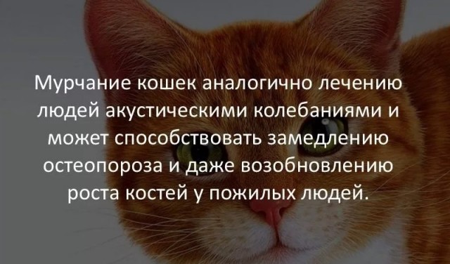 70 удивительных фактов
