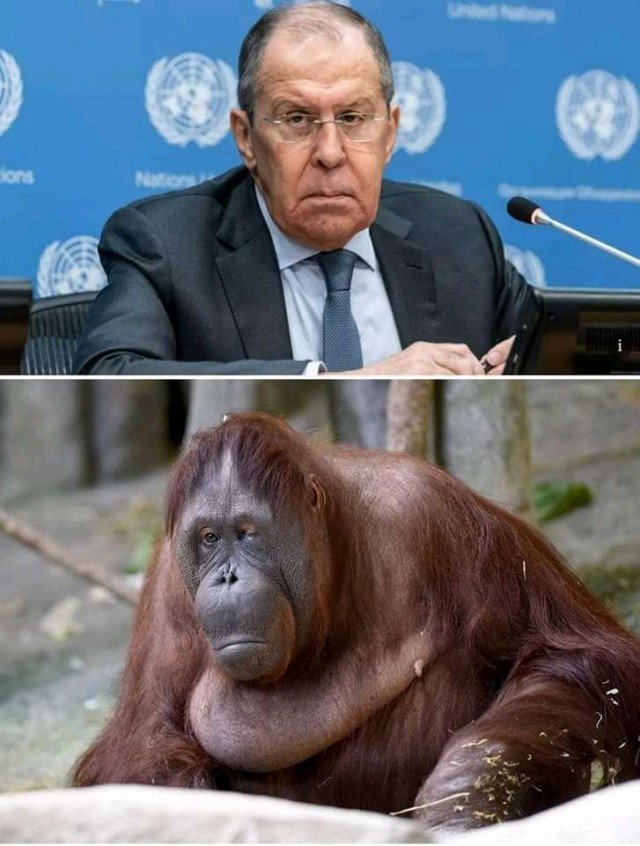 Сюда иди, обезьяна