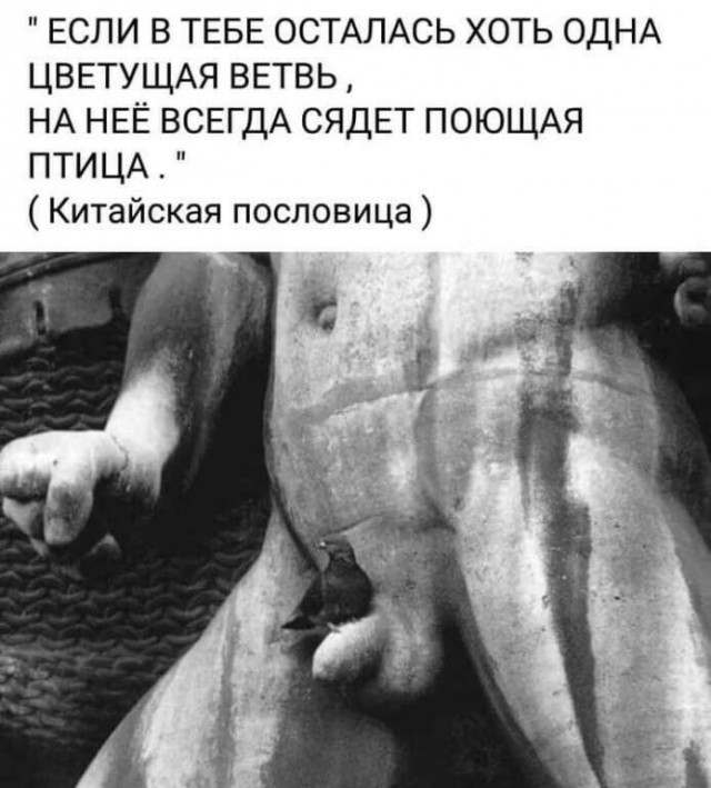 Юмор в картинках и без